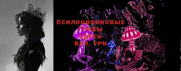 крисы Медвежьегорск