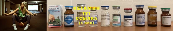 крисы Медвежьегорск