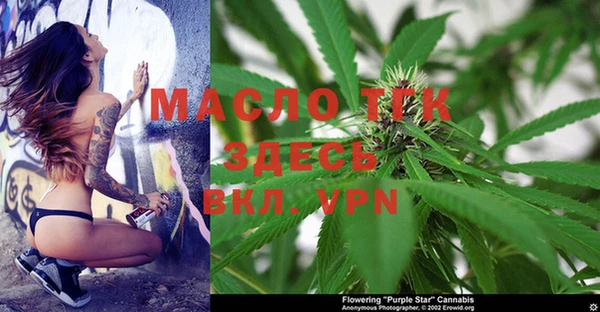 крисы Медвежьегорск