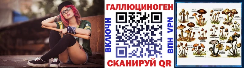 Псилоцибиновые грибы Cubensis цены Кондрово